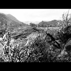 Meet your Posher, Charles